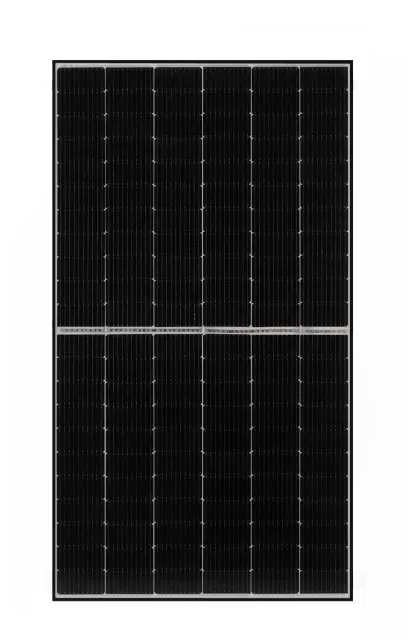 2929_66 TIGER MONO-FACIAL BLACK FRAME